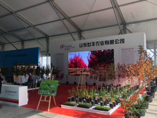 2024合肥农牧业机械展览会暨农机团购节11月15-17日